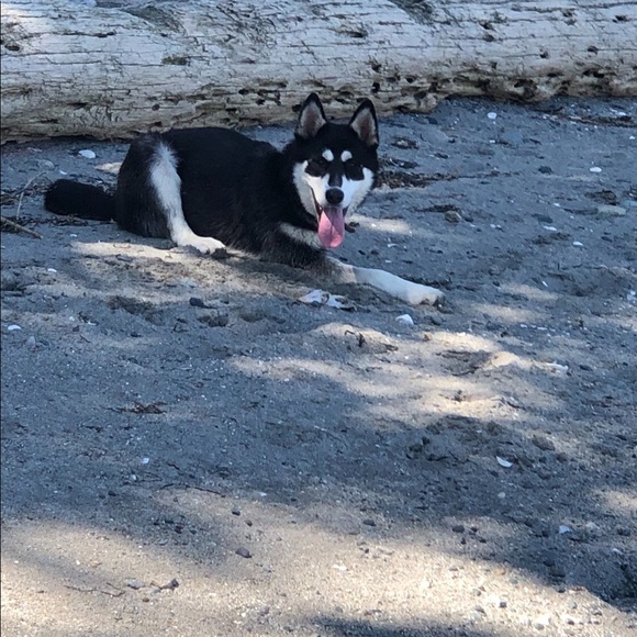 Meet your Posher, Wendy - Picture 2 of 2